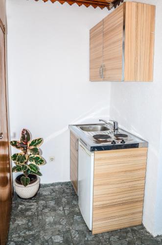 Guest House Alea 