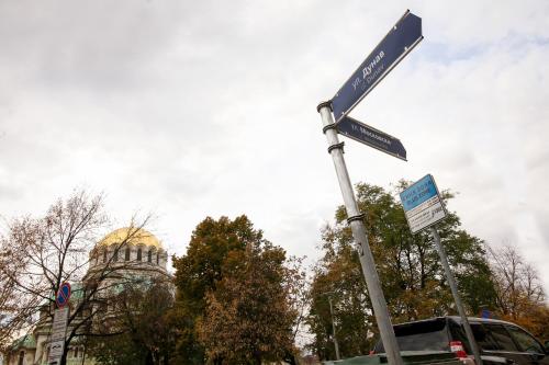 Heart Of Sofia Al.nevski Cathedral 