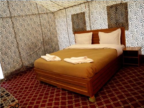 Ladakh Summer Pangong Camp 