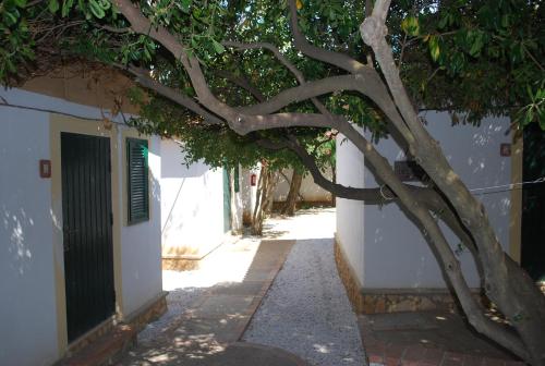Camping Villaggio Saline 