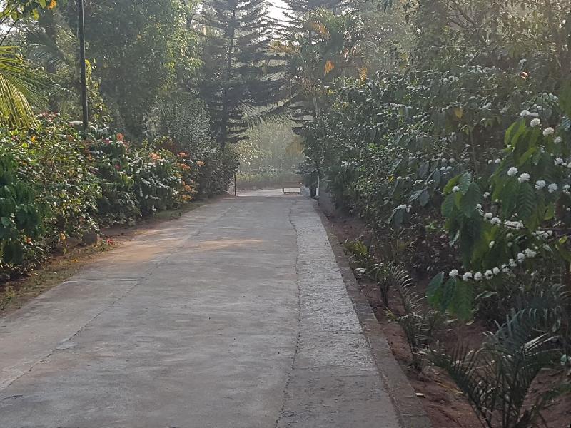 Riyavar Luxury Homestay 
