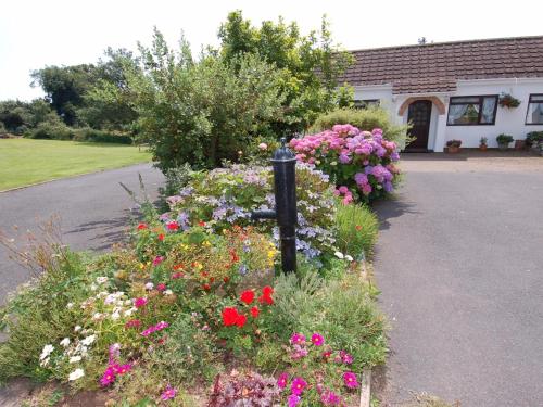 Little Waycroft Dawlish 