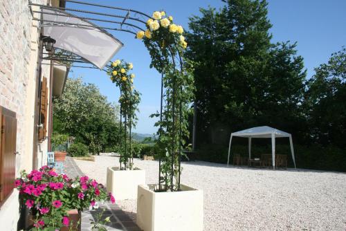 B&b La Fenice (ب&ب لا فنیس) 