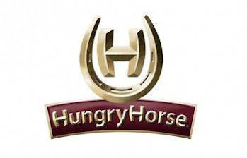 Highwayman Hotel (هایویمان هتل) 