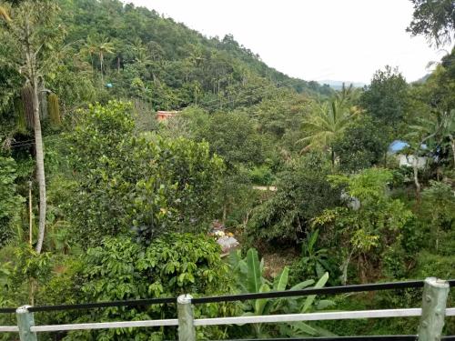 7 Treez Munnar 