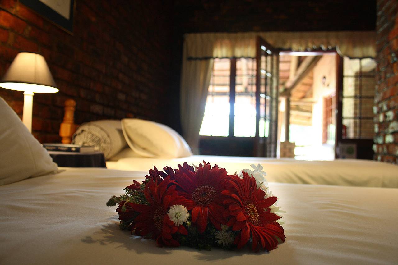 Storms River Guest Lodge 