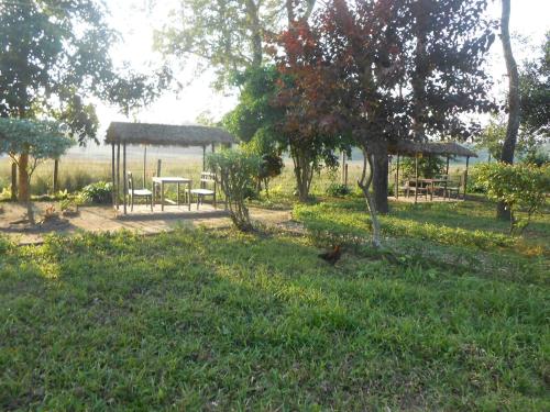 Sauraha Homestay Nepal 