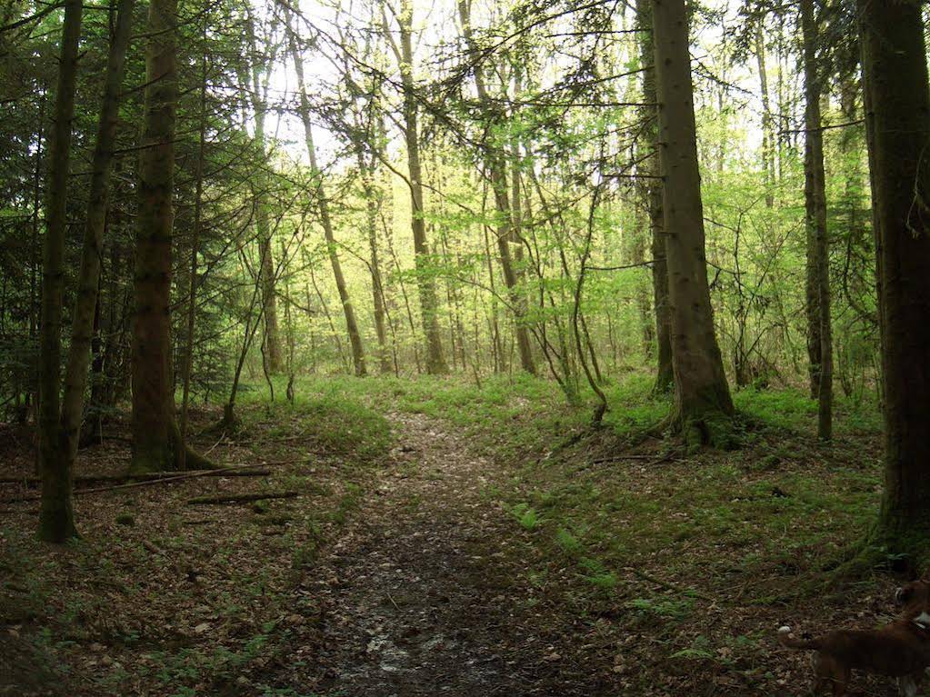Gwarllwyn 
