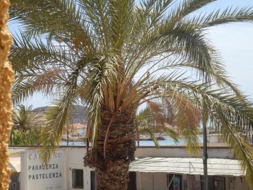 Apartamentos Taravilla P.26 (آپارتامنتوس تاراویلا پ.۲۶) 