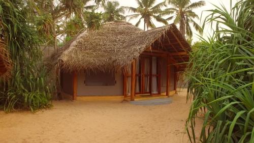Jungle Beach Camp 