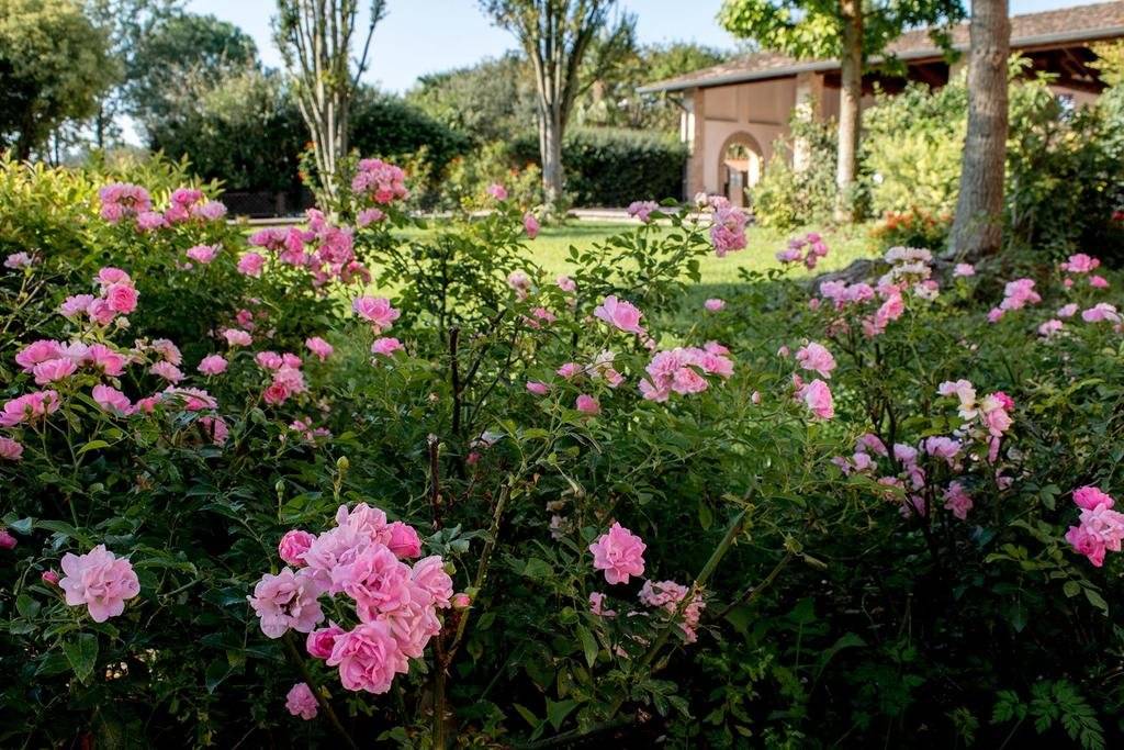 B&b Cascina Le Rose 