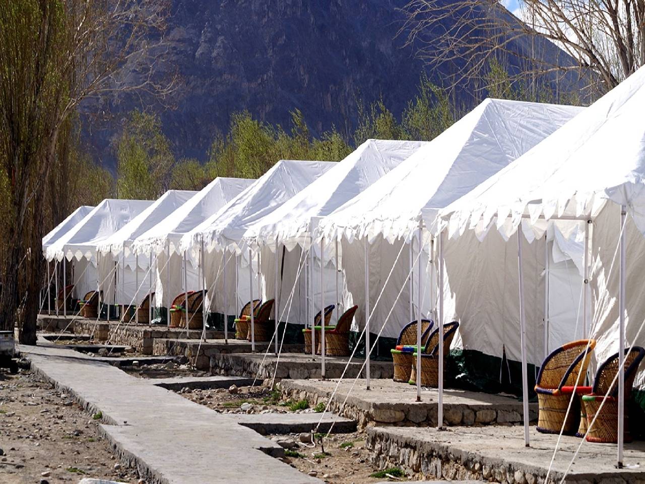 Paramount Camp 