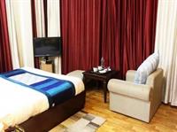 Oyo Premium Luxurious Castle 