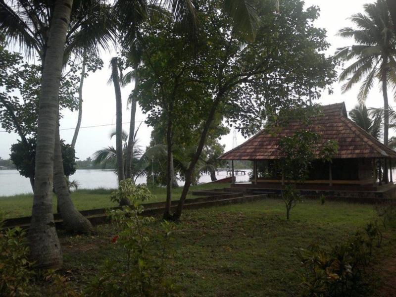The Island Retreat Resort 