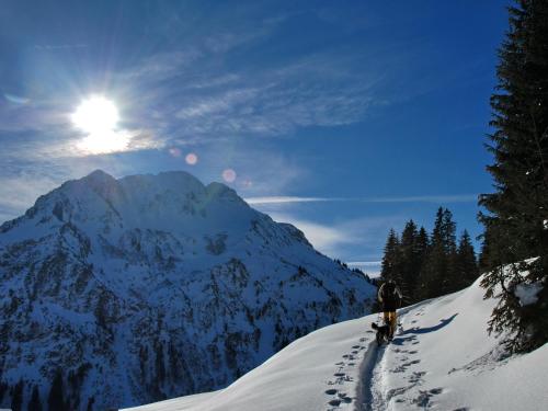 Ahorn Chalet Mittelberg 