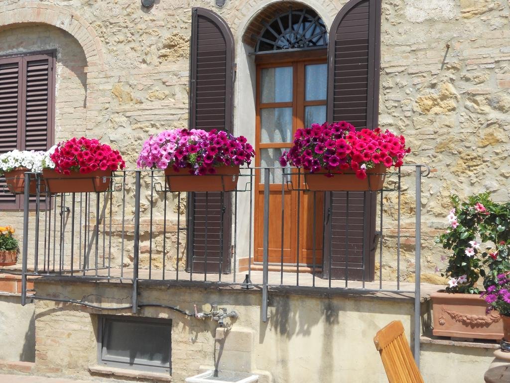 Casa Vacanze L'oliveta 