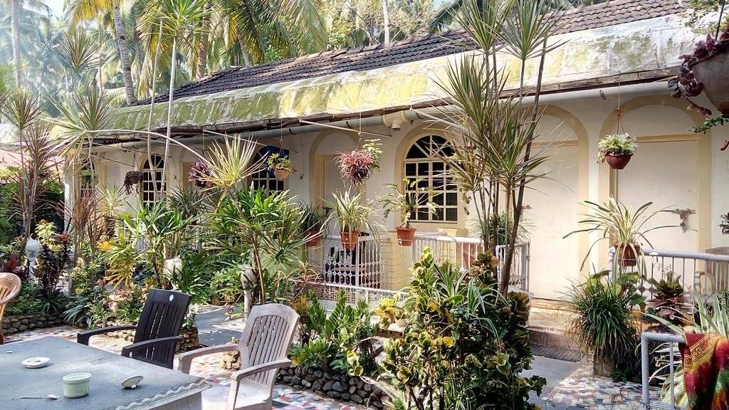 Zappia Cove Tourist Guest Houes 