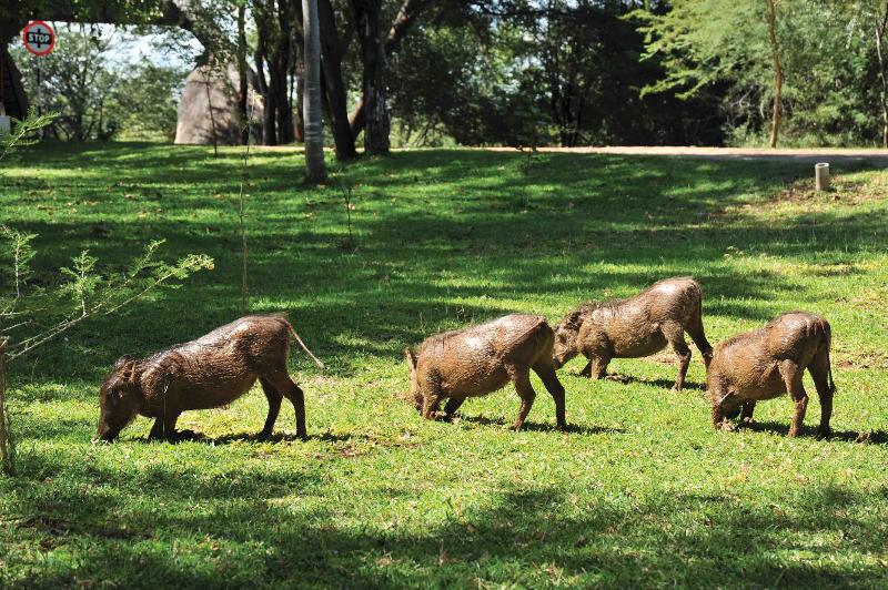 Lokuthula Lodges Sports and Entertainment
