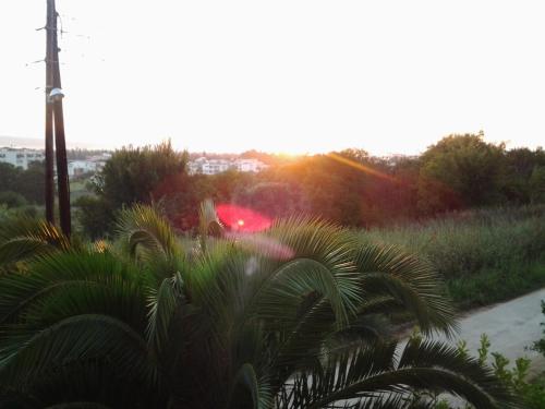 Guest House Aldin 