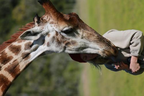 Mansfield Game Reserve 