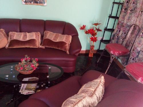 St.clair Holiday Home 