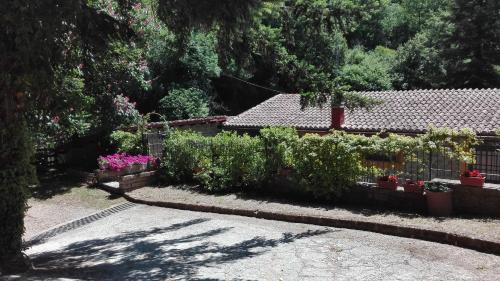 La Vecchia Mola 