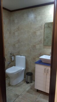 Jct Houseboat Bathroom