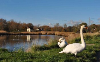 Still Waters Emsworth 205652 Lake