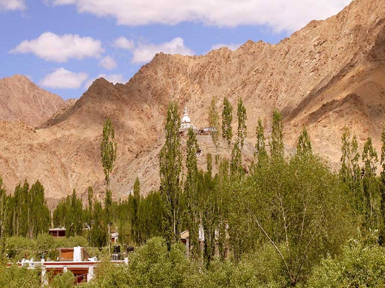 The Hotel Himalaya Leh 
