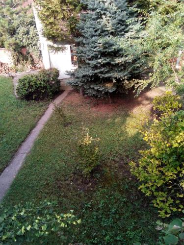 Apartment Stojkov 