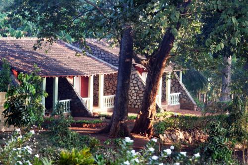 Bison River Resort 