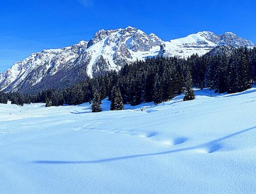 Campiglio Monolocale Cima Tosa 