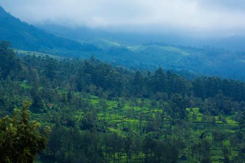 Mount View Munnar 