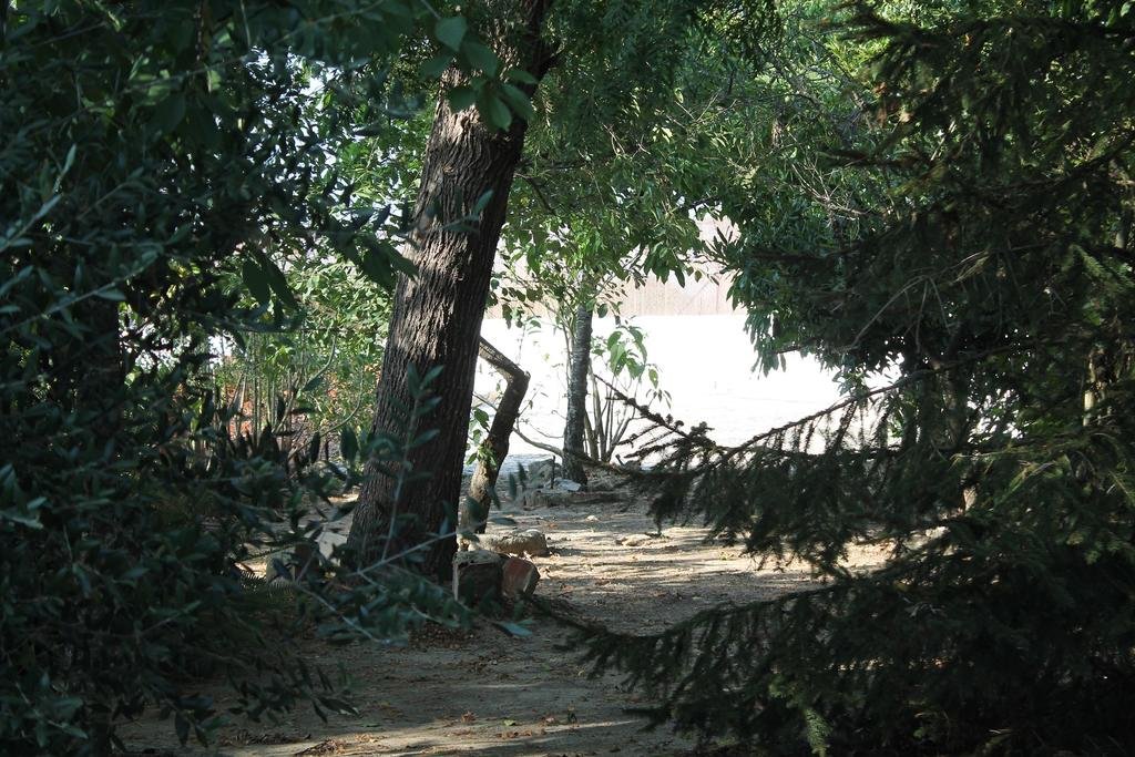 Ginjola Green Farm 