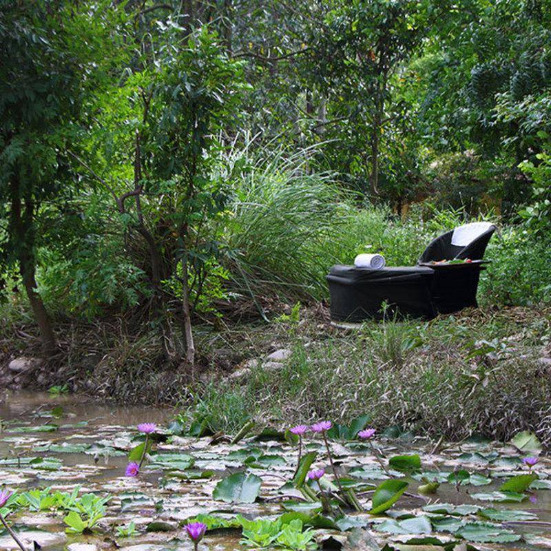 Jim's Jungle Retreat General view