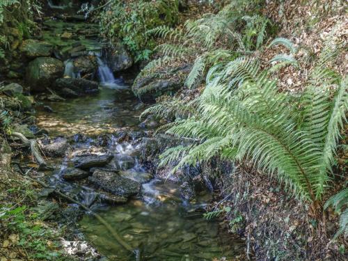 Running Waters Callington 