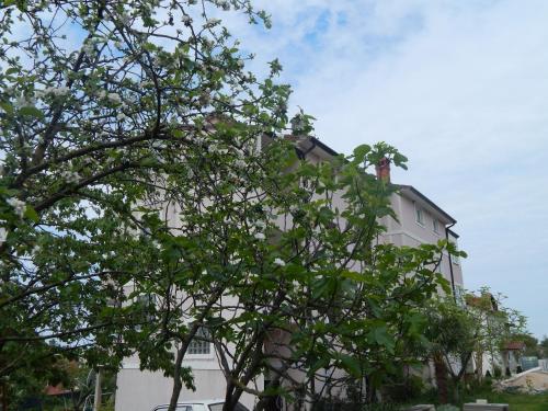 Apartments Vilanija 