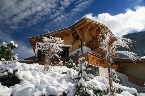 Chalet Chantelle 