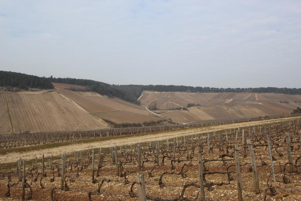 Au Petit Château (آو پتیت چâتیو) 