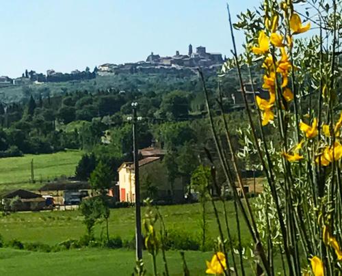 Appartamento Rustico 