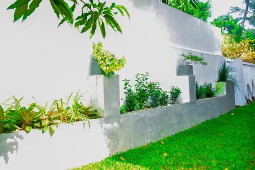 Pleasure Home 