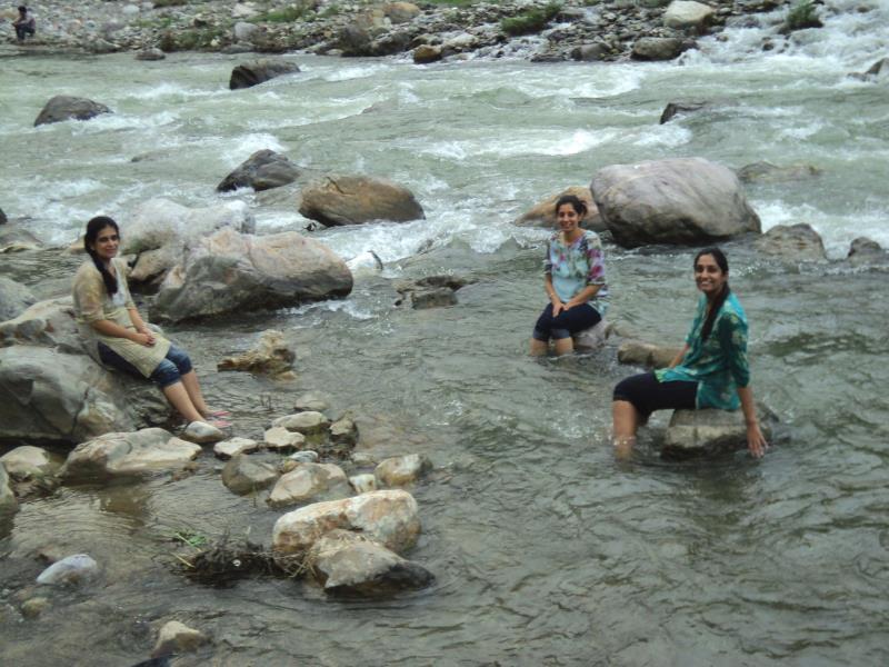 Camp Aqua Forest 