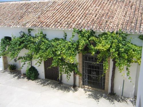 Cortijo El Pinar 