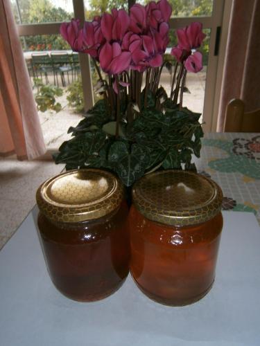 Agriturismo Minniminni 