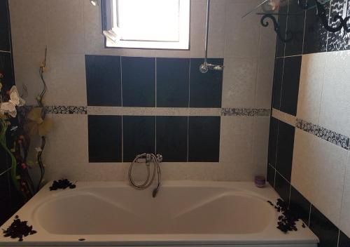 Apartman Iris 