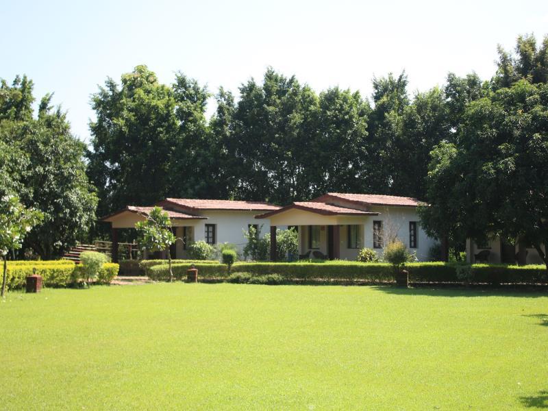 Oyo Premium Corbet In Dhikuli 