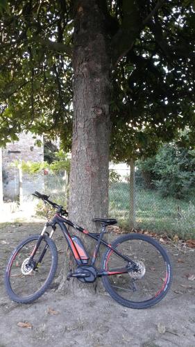 La Casa Del The In Monferrato 