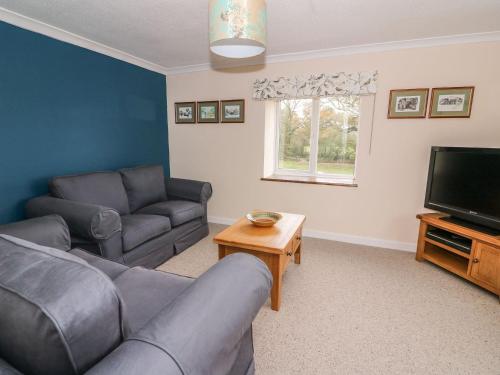 Maesyfelin Isaf Apartment Llanybydder 