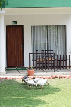 One Hotels Jim Corbett Guestroom View