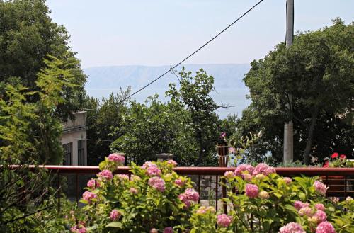 Apartment Novi Vinodolski 5582c 